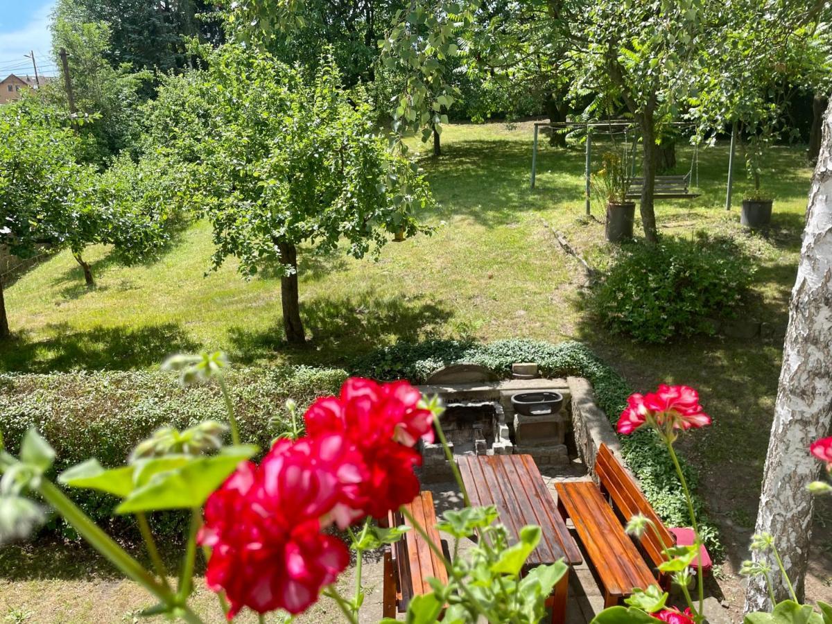 Silver Linden Holiday home